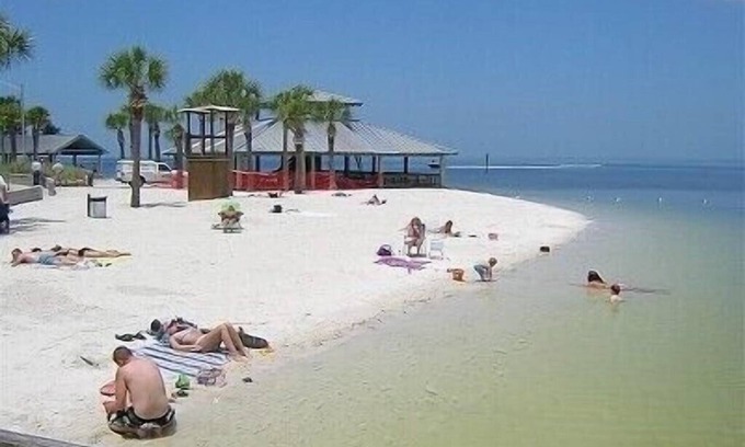 Bayonet Point Casa | 20% discount by Vrbo RELAXING VACATION PARADISE MINUTES FROM THE BEACH