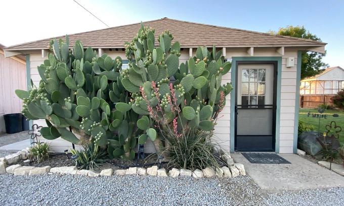Santa Margarita Casa | 20 minutes from Carrizo Plain National Monument. Twisselman's Cactus Casa