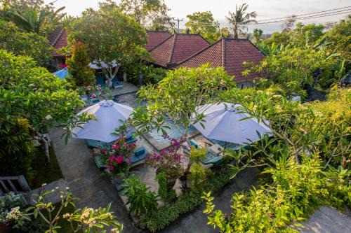 Mushroom Bay Complejo | 221 Garden Cottages