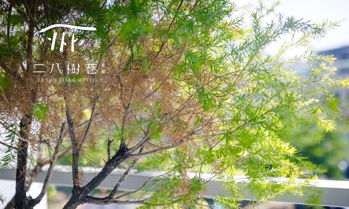 Xitun District Cama Y Desayuno | 28 Shu Xiang Hotel