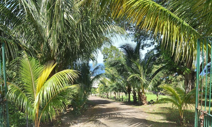 Tanetane Casa | 3 acres of tropical gardens, views of the Caribbean sea