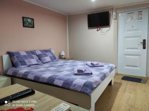 Vrdnik Apartamento | 3 Andjela