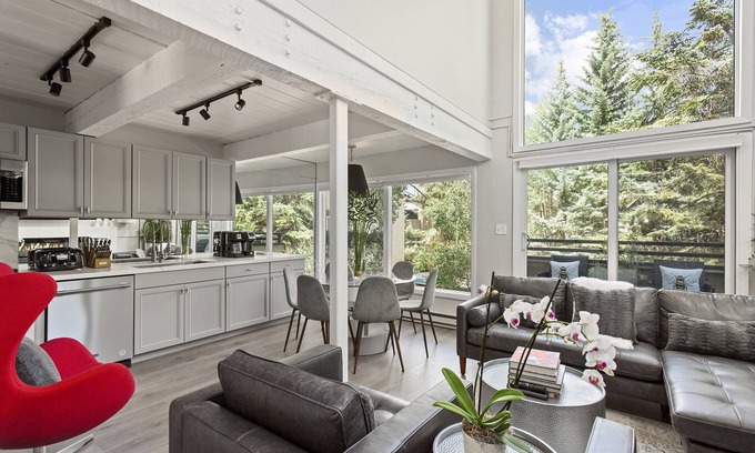 Aspen Condominio | 3 Bed/3 Bath In Town Aspen Luxury King & 2 Queen Bed W/D AC Parking Balcony Wifi