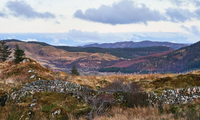 Lochgilphead Cabaña | 3 bedroom accommodation in Kilmichael Glassary, near Lochgilphead