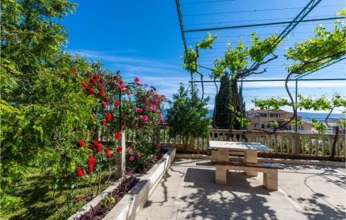 Duce Apartamento | 3 Bedroom Amazing Apartment In Duce