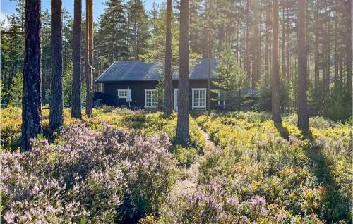 Nissedal Casa | 3 Bedroom Cozy Home In Treungen