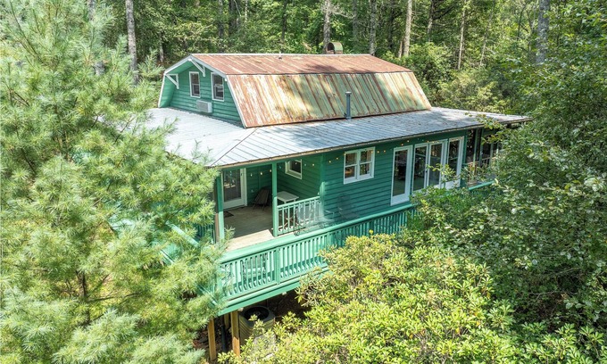 Cedar Mountain Cabina | 3 Bedroom Dog-Friendly Cabin Near Dupont State Forest