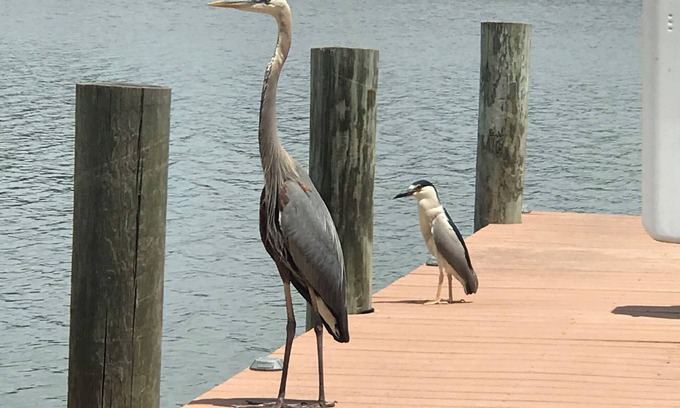 Fort Howard Casa | 3 Bedroom house. The BayHouse on The water. Movie theater Dock, Rafts, Fishin