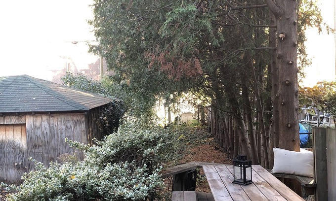 Bloorcourt Village Casa | 3 Bedroom house with garden in the city
