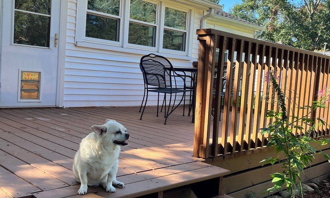 Easley Casa | 3 BR house convenient Clemson Greenville Silos. Fenced yard-Deck. Dog friendly