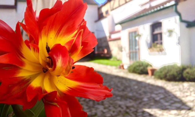 Zwatzen Apartamento | 3 Seiten Ferienwohnung