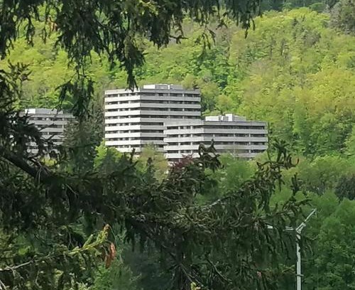 Bad Harzburg Apartamento | 3 Zimmer Apartment Kostenfreien WLAN