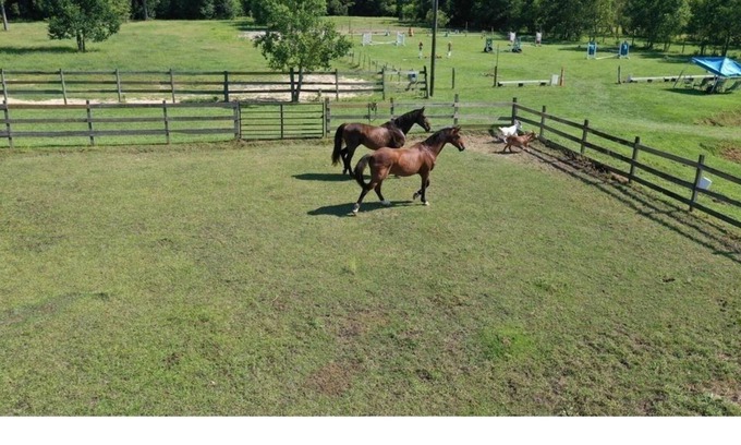 Gulfport Otro | 30 Acre Horse Farm with Barn