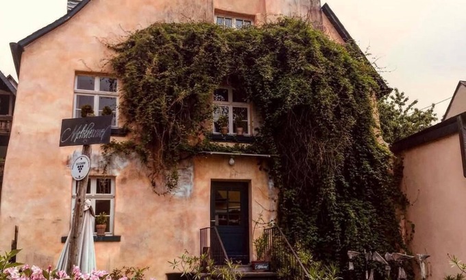 Reil Otro | 300 Jahre altes Ferienhaus am Bio-Weingut an der Mosel