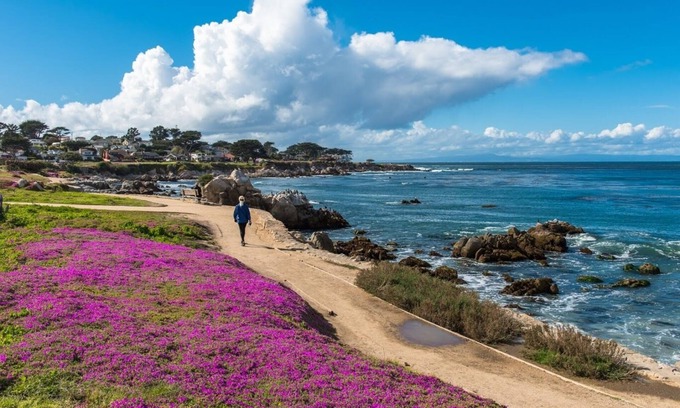 Pacific Grove Casa | 3812 Little House - Nightly Rental, Historic Home, Just Steps to Coast Trail