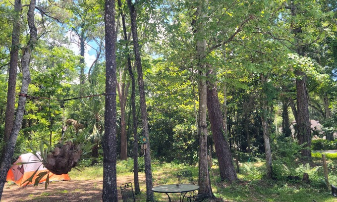 Homosassa Casa | 4.5 MILES TO MACRAES BOAT RAMP!! Spacious with plenty of room for boats or RVs.