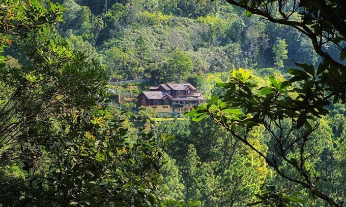 New Kingston Cabaña | 4 Bedroom Cottage, Greenwhich, Blue Mountains