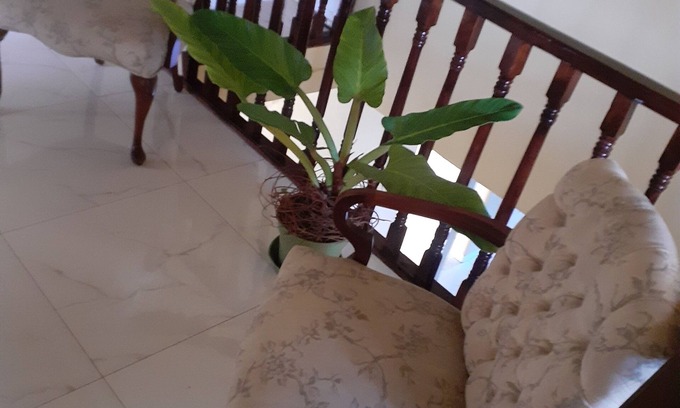 Boscobel Casa | 4 BEDROOM HOUSE