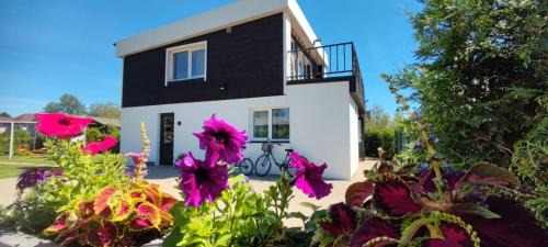 Latgale Suburb Casa | 4 Bedroom House with Playground, BBQ & Free Parking