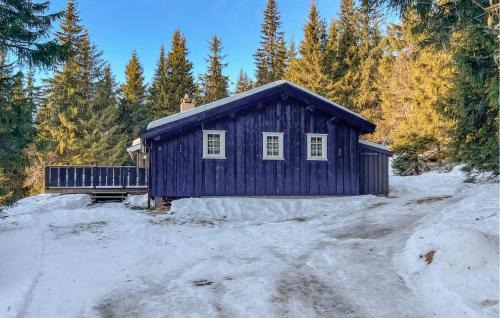Skeikampen Casa | 4 Bedroom Lovely Home In Østre Gausdal