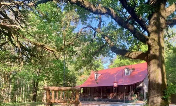 White Cabina | 4 Bedroom Pet Friendly Cabin W/ Fenced Backyard