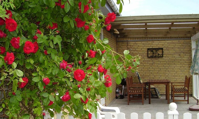Dannemare Casa | Ideal casa de vacaciones en Lolland con terraza