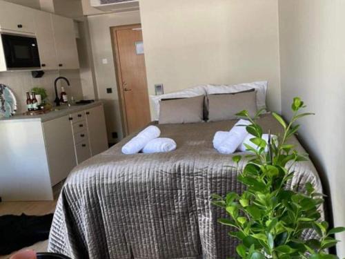 Hallevik Casa | 4 person Studio in Sölvesborg