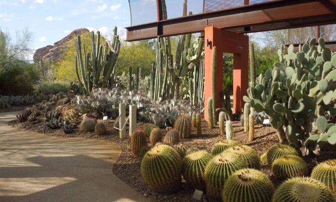 South Scottsdale Complejo | 4 Serene Units in 40-Acre Property, Perfect for Special Events! On-Site Dining