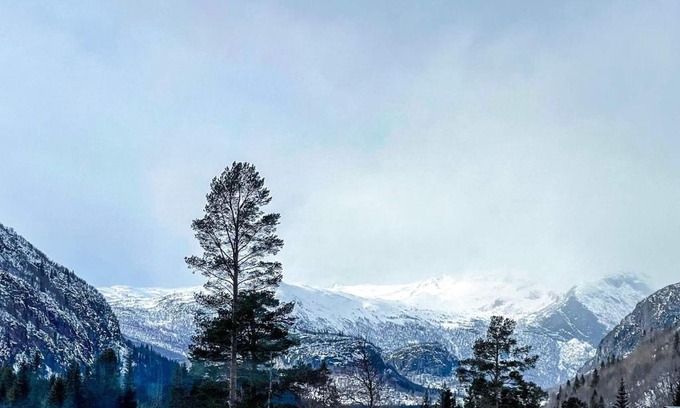 Hemsedal Apartamento | 4 star holiday home in Hemsedal