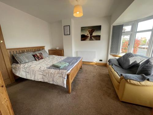 Wrexham Casa | 45 Mold Road