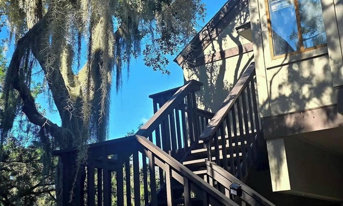 St. Simons Island Casa | 491 Cedar Walk Sea Palms
