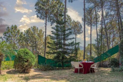 Dharampur Casa | 4BR cozy villa kasauli garden bone fire open terrace jhula by the north edge