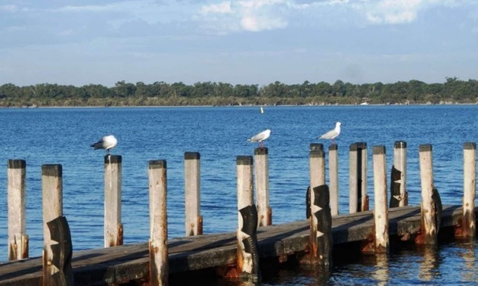 Dawesville Casa | 3BR home with estuary views nestled amongst native trees and flowers