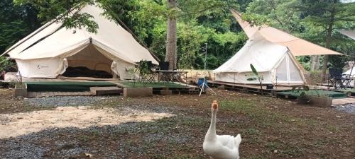 Phaya Yen Otro | 5 meter belle tent for 5 people