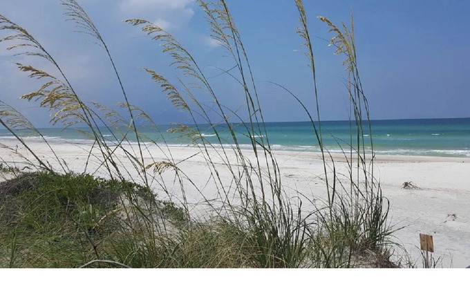 Gulf County Alquiler De RV | 5 miles from the beautiful GULF OF MEXICO! Secluded, private, family campsite!