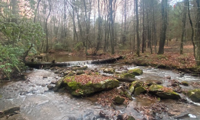 Montebello Cabina | 5 minutes to Blue Ridge Parkway, Crabtree Falls, hiking, wineries, breweries