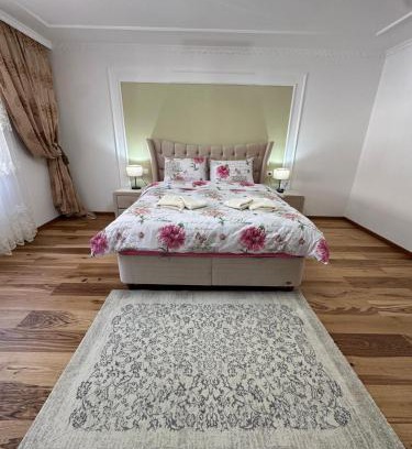 Satu Mare Apartamento | 5 Slavici Blue Hotel