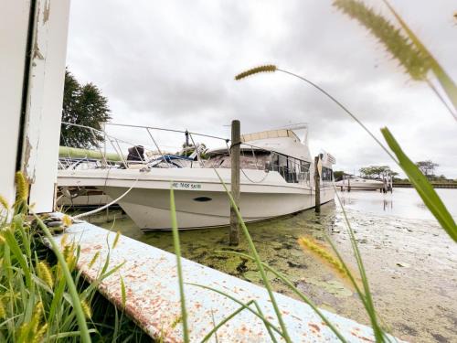 Anchor Bay Harbor Alquiler De Eote | 50ft Stationary House Boat