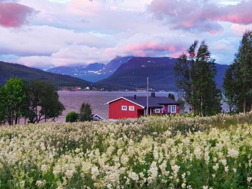 Lenvik Casa | 7 person holiday home in Rossfjordstraumen