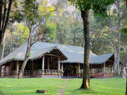 Lakkidi Complejo | 900 Woods Wayanad Eco Resort - A Sprawling Jungle Stay near Glass Bridge