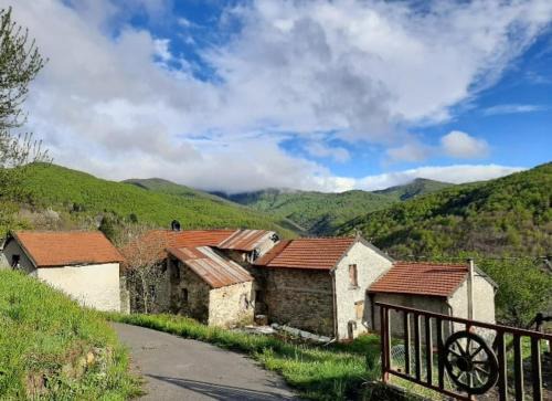 Murialdo Casa | A 1 passo dal bosco