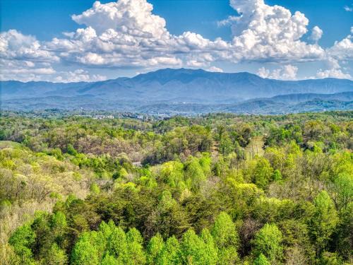 Sevierville Casa | A Bliss - Hot Tub, Game Room, WIFI, Resort Pool, FREE attraction tickets!