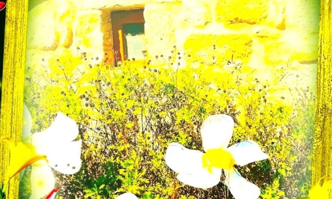 Mondariz Cabaña | A CASA DEL BOSQUE DEL AGUA+PASE A SPA PREXIGUEIRO GRATIS A PARTIR DE 01.09.2025