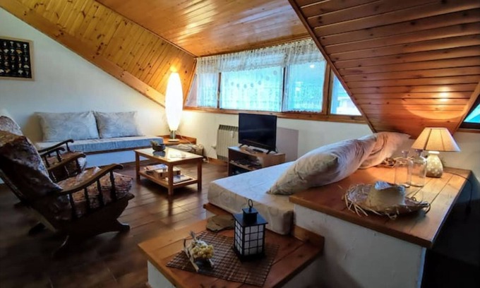 Sort Apartamento | ACOLLIDOR ÀTIC-DÚPLEX CÈNTRIC amb VISTES - El Niuet de Sort