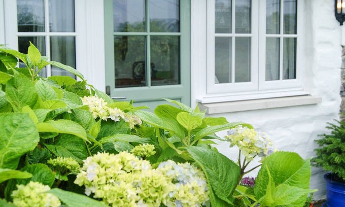 St Dogmaels Cabaña | A cosy & bright cottage in the heart of St Dogmaels, Pembrokeshire