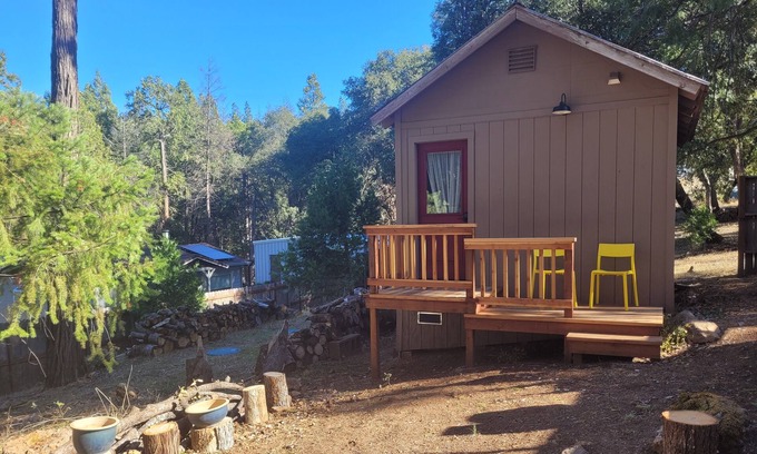Volcano Cabaña | A cozy winter skier's cabin, or summer retreat-Explore the Gold Country!