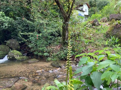 Cachoeiras de Macacu Casa | A family house in the woods of Atlantic forest