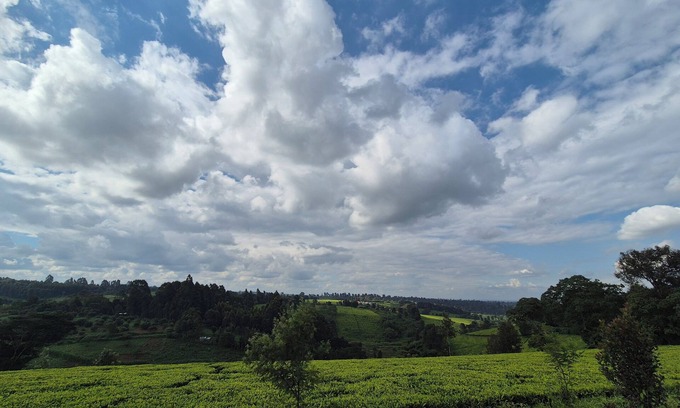 Limuru Otro | A farmhouse within the Tea farm estates