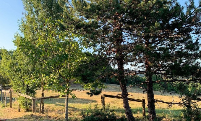 Damiatte Cama Y Desayuno | Un remanso de paz y tranquilidad en el corazón del campo del Tarn.