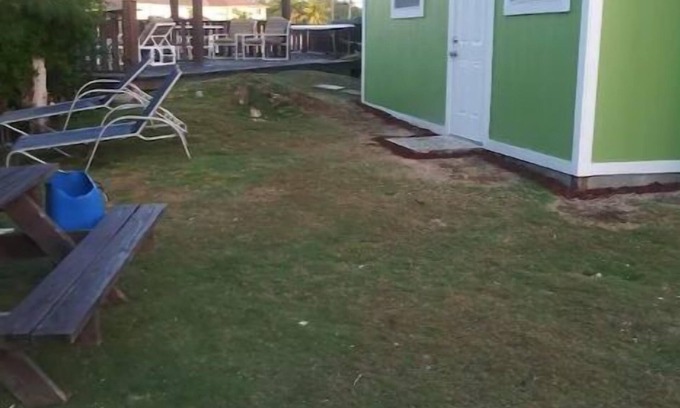 Coral Harbour Apartamento | A Hidden Gem